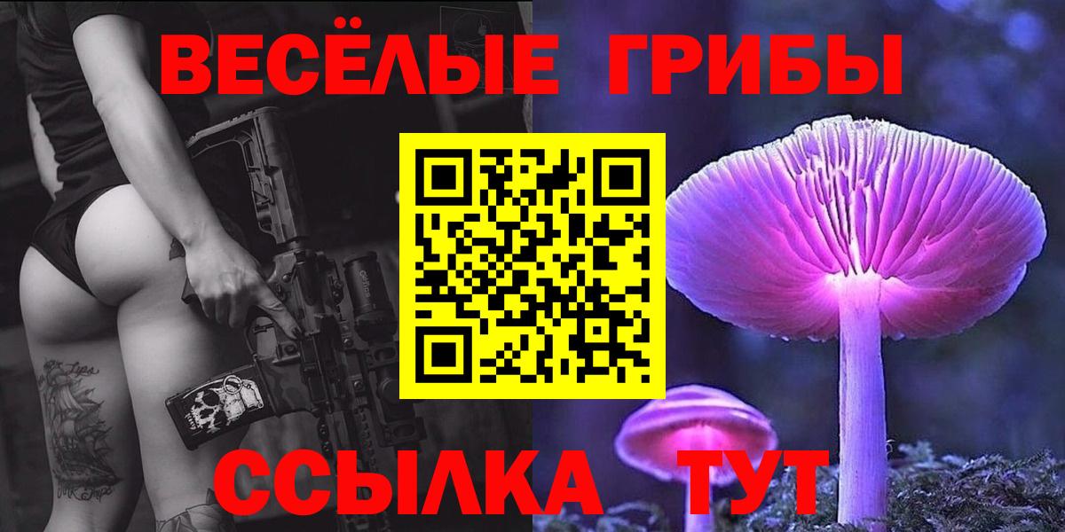 Псилоцибиновые грибы Psilocybe  Вход с VPN  Черногорск 